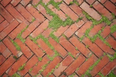 çim ile tuğla arka plan, üst görünümü