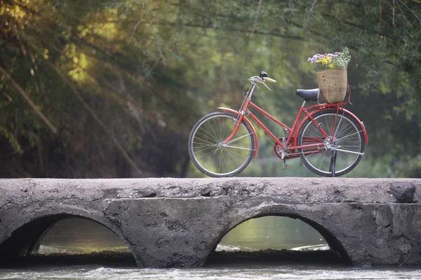 Vieux Vélo Rouge Sur Vieux Pont — Photo