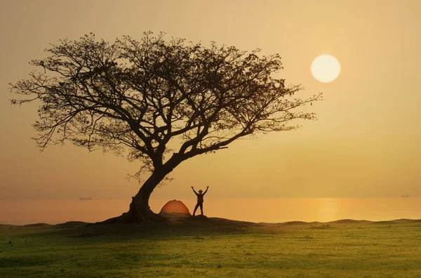 Hombre en camping bajo el árbol con fondo de atardecer —  Fotos de Stock