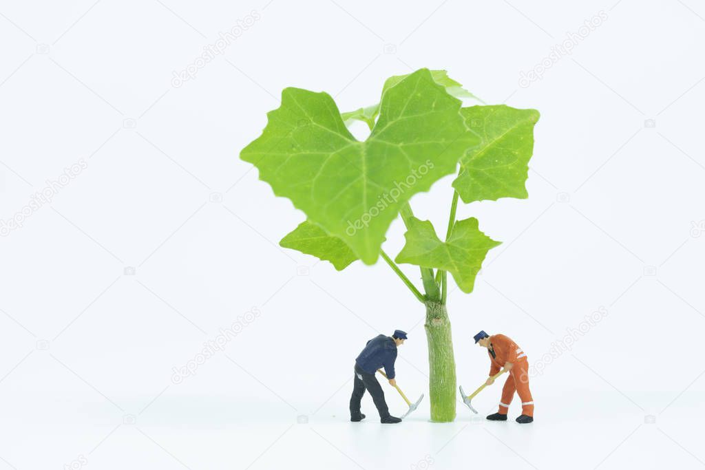 miniature people working with tree on white background