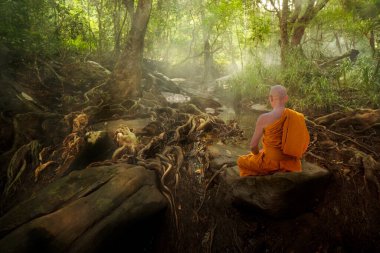 Buda keşişi ormanda meditasyon yapıyor.