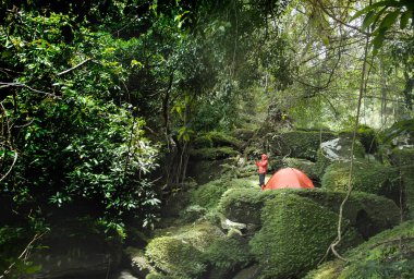 Yağmur ormanlarında çadırı olan bir adam.