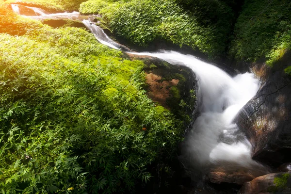 Fechar Bela Cachoeira Floresta Tropical — Fotografia de Stock