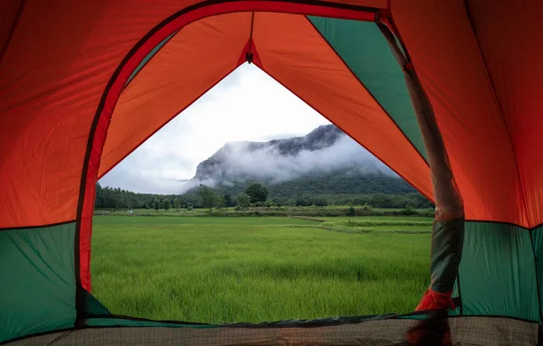 Вид Палатку Фоне Красивого Зеленого Поля — стоковое фото