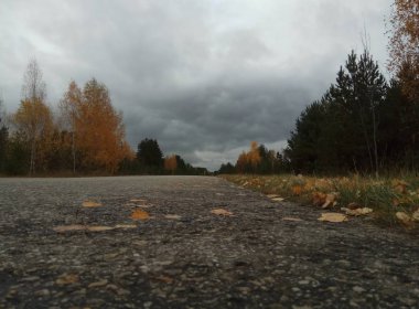 Sonbahar. orman manzarası. Mavi gökyüzü ve sarı yapraklı ağaçlar ve yapraksız. Horizon. Rusya'nın doğal arka plan