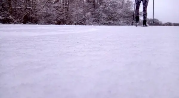 Narciarz na zimowej drodze w śnieżnym lesie sosnowym tapeta tło — Zdjęcie stockowe