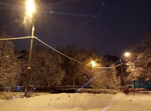 Zimní večer ve městě. Světlo lucerny na zasněžených stromech je na spadnutí. Tapeta pozadí — Stock fotografie