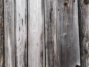 Koyu gri beyaz ahşap arka plan - Boyalı eski ahşap cephe