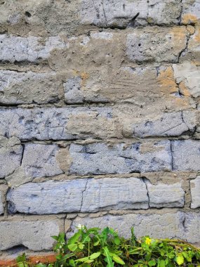 Yeşil bitkiler ve beyaz çiçekler arka plan ile çimento ile Tuğla eski duvar