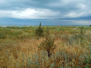 gri gökyüzü ile dağda kaya. mavi deniz