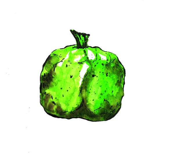 绿色抽象插图石榴孤立在白色背景素描秋季 — 图库照片