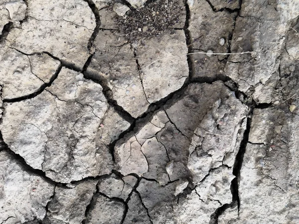 Patterned cracks in the dry ground. soil break from heat background
