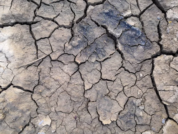 Patterned cracks in the dry ground. soil break from heat background