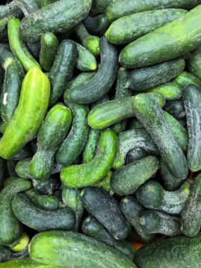 Yeşil salatalık süpermarkette rafta. Organik yemek. Tarım perakendeci. Çiftçinin gıda.