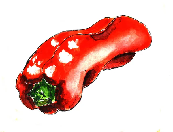 Pimiento rojo. Pintura acuarela dibujada a mano en blanco . — Foto de Stock