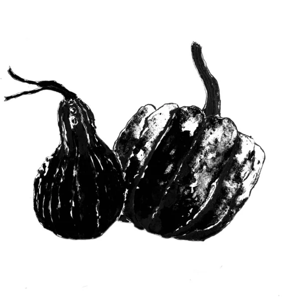 작가는 할로윈의 휴일을 위해 흰색 종이에 검은 흰색 호박의 수채화 그림을 그립니다.. — 스톡 사진
