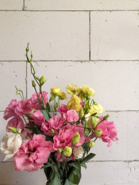 Beyaz tuğla arka plan üzerinde taze pembe eustoma çiçek. metin için alan ile düz yatıyordu tarzı. Kadınlar veya Anneler Günü Teması.