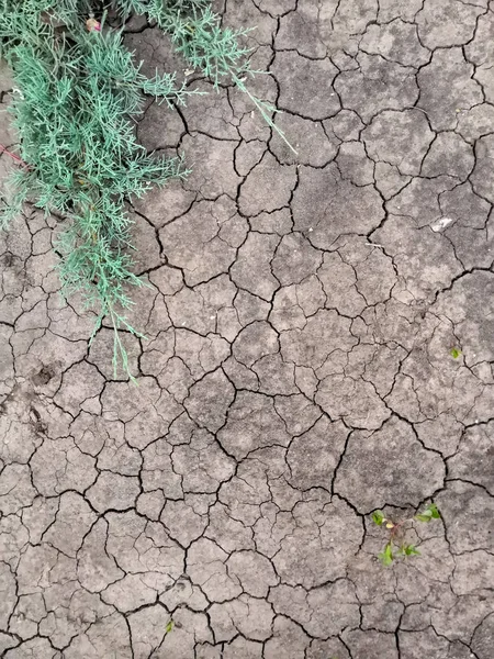 乾いた茶色のひび割れた土の質感。土壌の水分の不足、干ばつ。脱水地の概念. — ストック写真