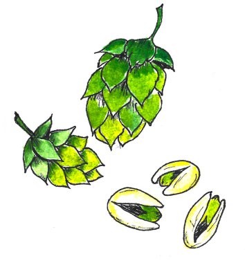 Octoberfest konuları. yeşil malt ve antep fıstığı. Karikatür tarzı, suluboya geri.