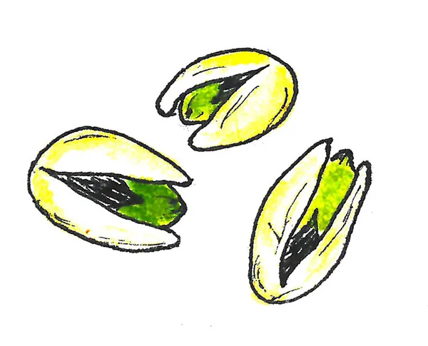 Octubretemas del festival. pistacho verde. Estilo de dibujos animados, acuarela espalda . — Foto de Stock