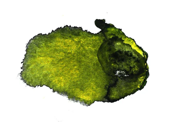 Textura aquarela cinza verde parece coral. ilustração de fundo abstrato isolado no branco . — Fotografia de Stock