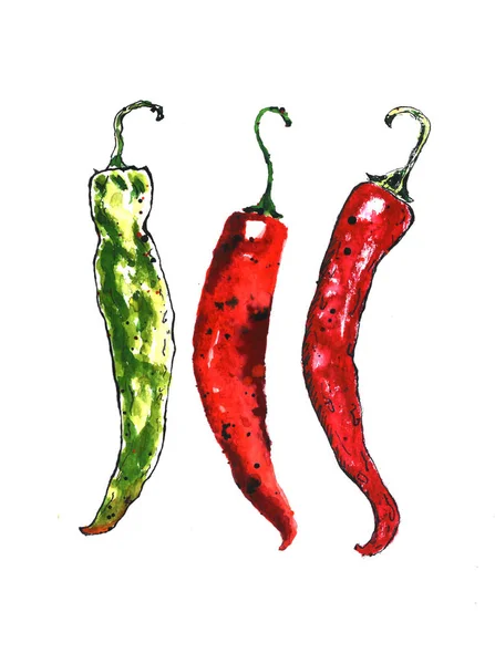 Aquarel kleurrijke groenten set Red Hot Chili Peppers, capsaïcine close-up geïsoleerd op witte achtergrond — Stockfoto