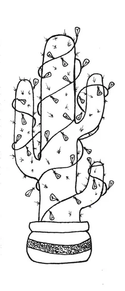 Мексиканский кактус в плантаторах с рождественскими огнями графика черно-белая иллюстрация . — стоковое фото