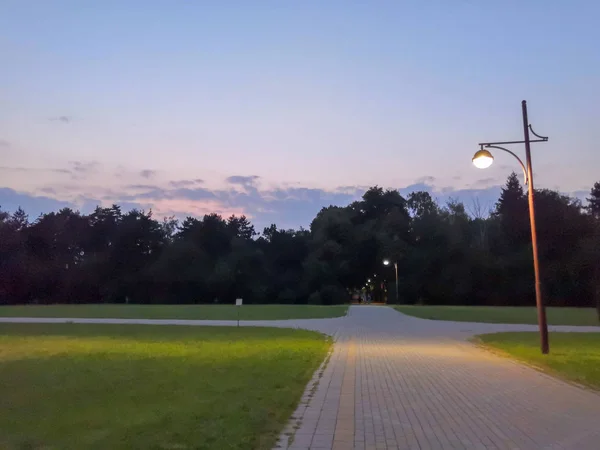 Summer park, Russia. Evening in the city Park. Lantern, trees, paths and lawn. in the background