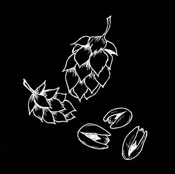 Soggetti del festival dell'ottobre. bianco su sfondo nero malto e pistacchio. Stile cartone animato, acquerello indietro . — Foto Stock