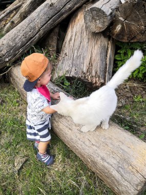 Mutlu küçük çocuk ve beyaz kedi. Çocuk ilk kez küçük kediyavrusuna sarılıyor. Çocuklar evcil hayvanlarla oynuyor.