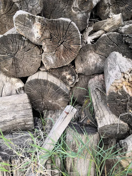 Wooden natural sawn a logs closeup, texture for background, top view, flat lay photo — Stock Photo, Image