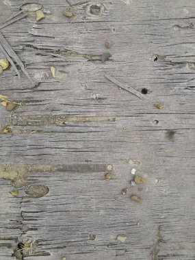 Old gray wooden fence texture background. natural wooden dark empty room with messy and grungy crack beech.