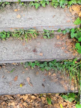 Bir sürü düşen sonbahar yaprakları sarılık ile mayınları eski somut adımlar
