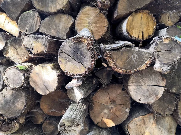 Fondo de madera. Sección transversal de madera de macro. Primer plano de la rebanada redonda de árbol con anillos anuales y grietas . —  Fotos de Stock