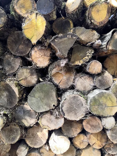 Fondo de madera. Sección transversal de madera de macro. Primer plano de la rebanada redonda de árbol con anillos anuales y grietas . —  Fotos de Stock
