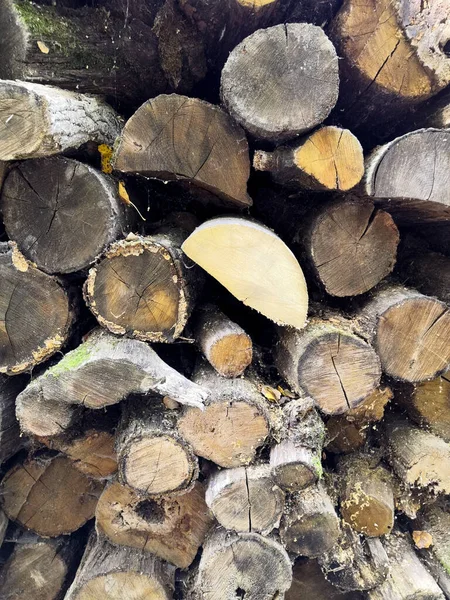 Fundo de madeira. Macro madeira seção transversal. Closeup de fatia redonda de árvore com anéis anuais e rachaduras . — Fotografia de Stock