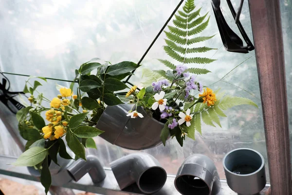 休闲活动用废料回收 使花瓶装饰家居 彩色雏菊在水管上白色背景 — 图库照片