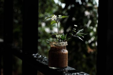 Üzgün arka planda koyu renk arka plan, pencere çerçevesi ve yağmur damlası çim beyaz minik çiçek çiçek kavanoz