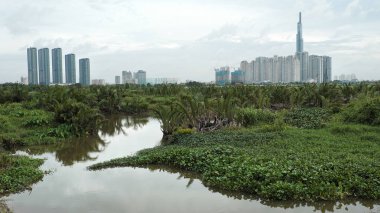 Bölge 2, bir bina en yüksek Ho Chi Minh city, Vietnam, bir gökdelen projesi ile su hyacinch ön ve marsh tam nipa görünümünden Landmark 81