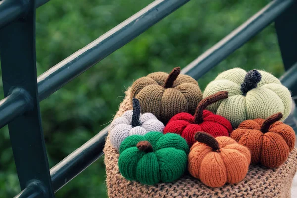 Group Colorful Pumpkin Ornament Knit Yarn Table Green Background Banister — Stock Photo, Image