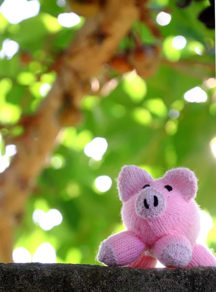 Amazing Funny Scene Handmade Pink Pig Stand Green Tree Canopy — Stock Photo, Image