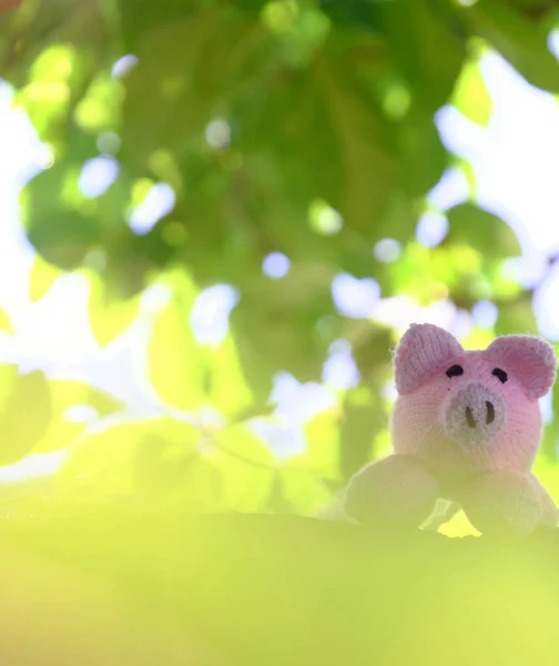 Amazing Funny Scene Handmade Pink Pig Stand Green Tree Canopy — Stock Photo, Image