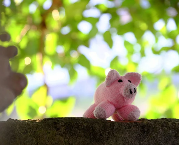 Amazing Funny Scene Handmade Pink Pig Stand Green Tree Canopy — Stock Photo, Image