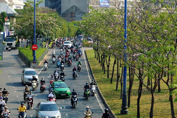 Hermoso paisaje de la ciudad de Ho Chi Minh, calle con tabebuia r — Foto de Stock