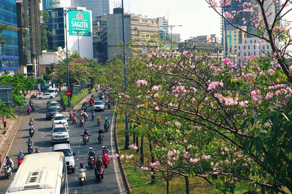 Piękny krajobraz miasta Ho Chi Minh, ulica z tabebuia r — Zdjęcie stockowe