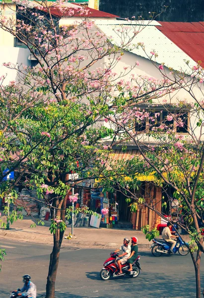 Piękny krajobraz miasta Ho Chi Minh, ulica z tabebuia r — Zdjęcie stockowe