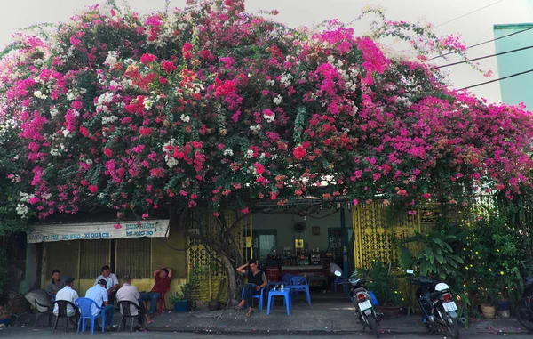 La gente se sienta bajo colorido enrejado de flores de buganvilla para el café — Foto de Stock