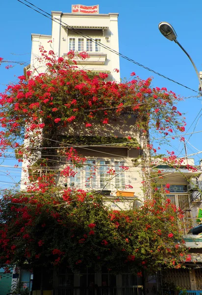 Incroyable maison de ville décor maison façade par bougainvilliers fleur — Photo