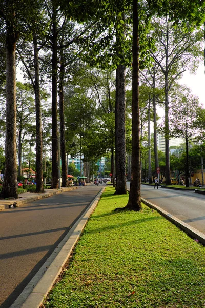 Fila de árboles, verde, recto, alto a lo largo de la calle en Ho Chi Minh —  Fotos de Stock
