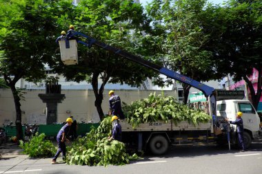 Vietnamlı işçi ağacın dalı kesmek için boom asansör üzerinde çalışmak